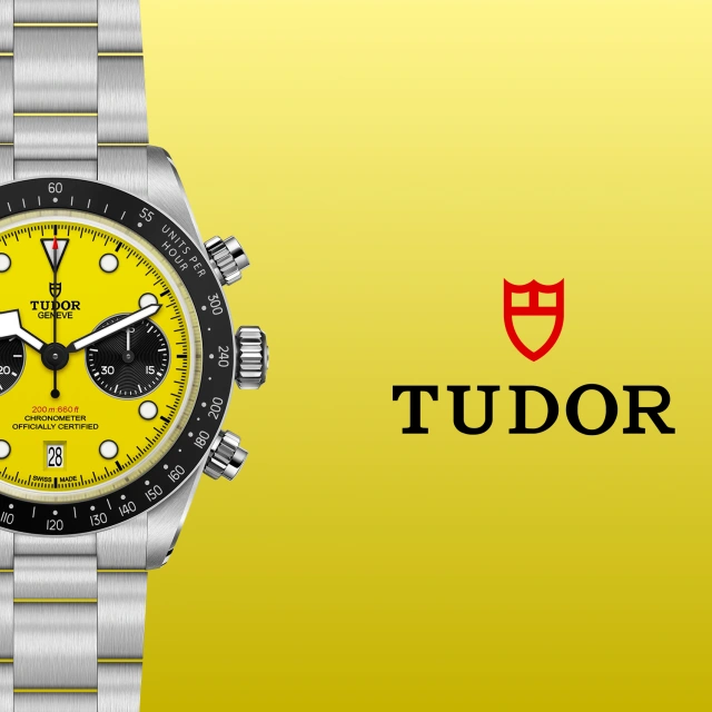 Rivenditore autorizzato Tudor Lodi