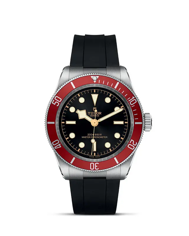 TUDOR Black Bay presso  